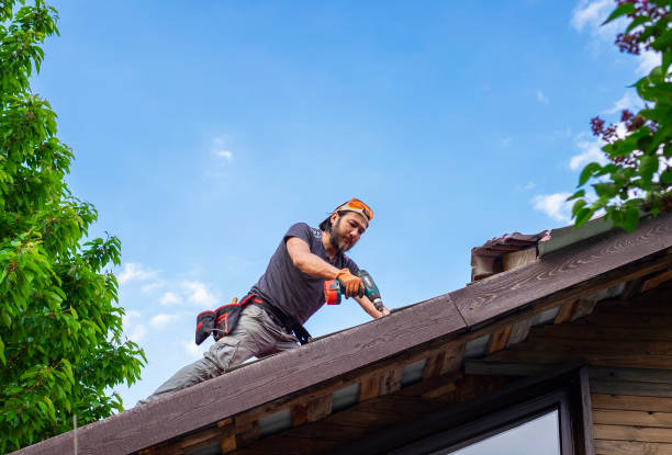 Best Gutter Installation and Repair  in Tillmans Corner, AL